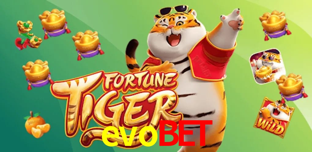 Statistics evobet